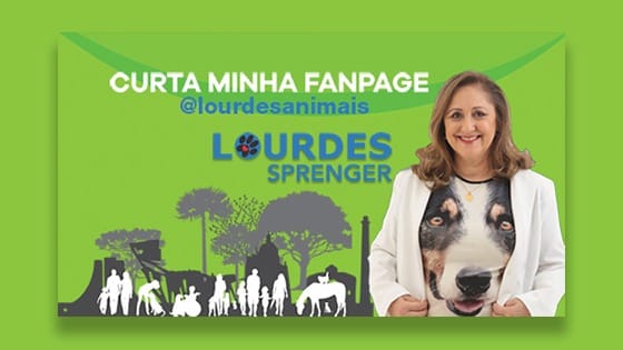 Vereadora Lourdes Sprenger