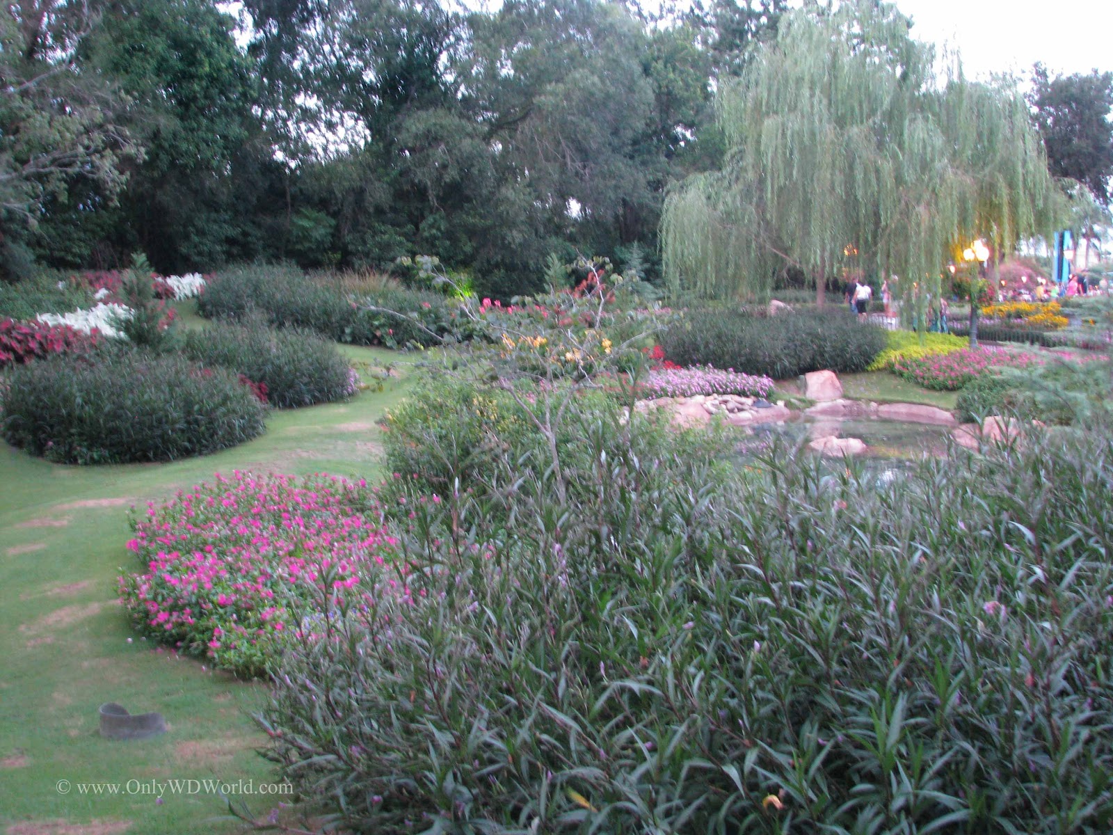 Victoria Gardens In Disney World's Epcot Pay Tribute To The Butchart Gardens Disney World Blog