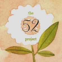 Project 52
