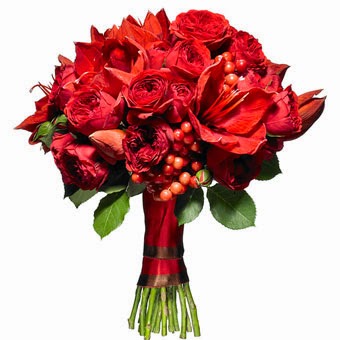 Red amaryllis wedding flowers