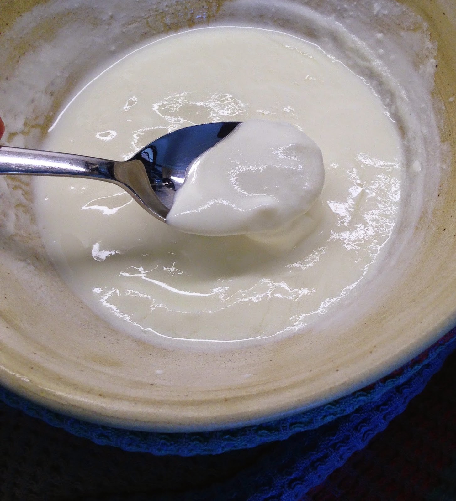 Stroud Is All Over the Place Make Your Own Vanilla Extract and Yogurt