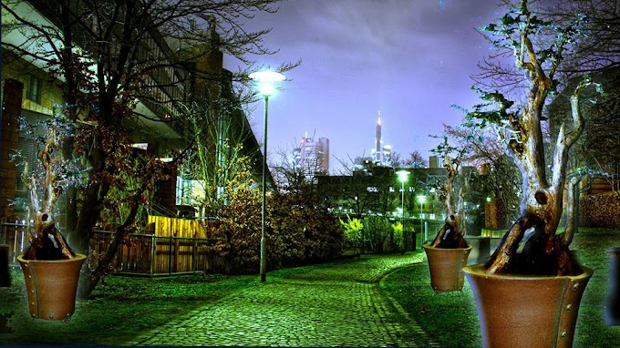 PROSES Membuat Bonsai Cantik