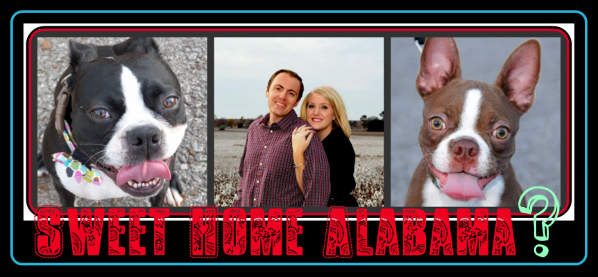 Sweet Home Alabama?