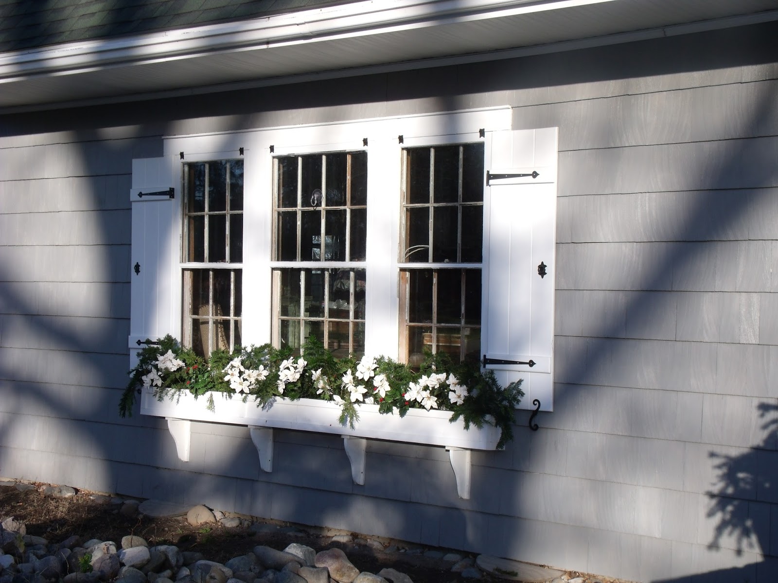 Gear Acres at Top of the Hill Sprucing Up the Window Box with Yew Cuttings