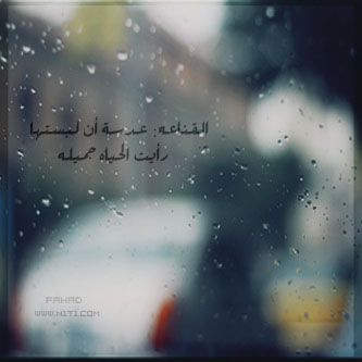 ramziat-instagram%2B%25282%2529.jpg