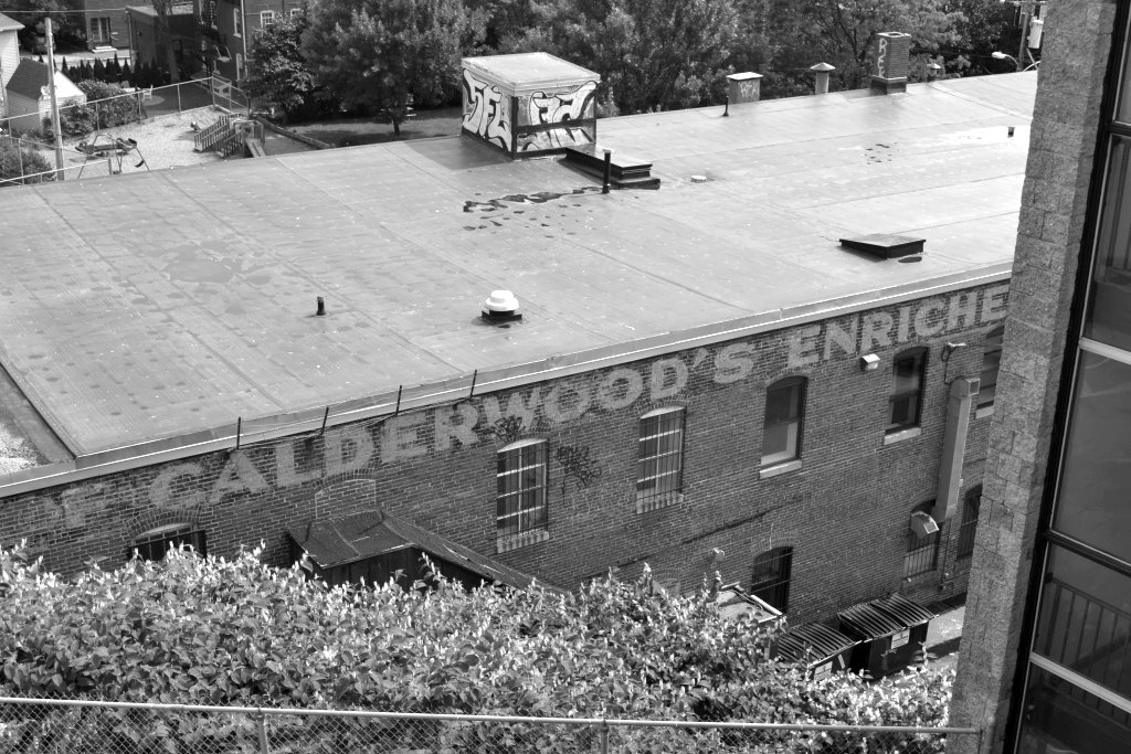 Portland Maine History 1786 To Present Blog The Old Calderwood's