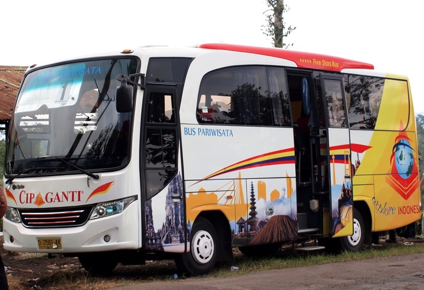 Delta Pariwisata Bus: Mengurai Potensi dan Tantangan Transportasi Darat di Era Digital