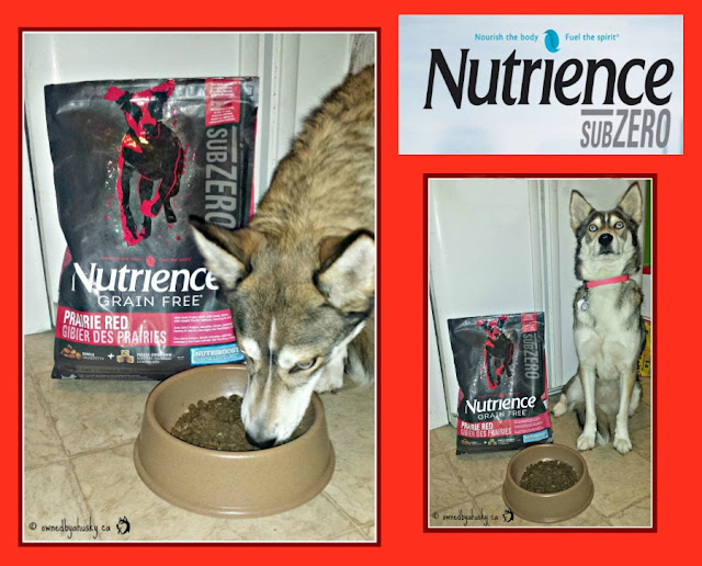 grain free raw infused dog food #subzerodifference