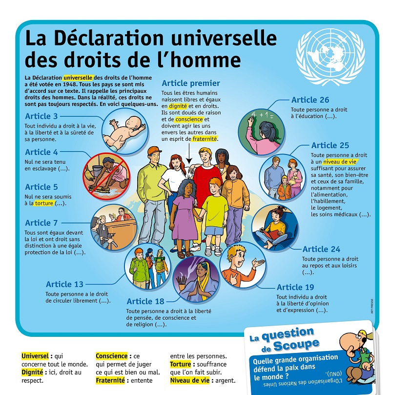 TICs en FLE Droits de l'homme histoire , infographie , ressources