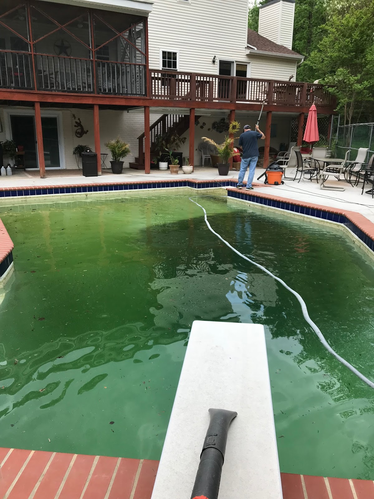 A Bob's Life Pool Opening Day 2018