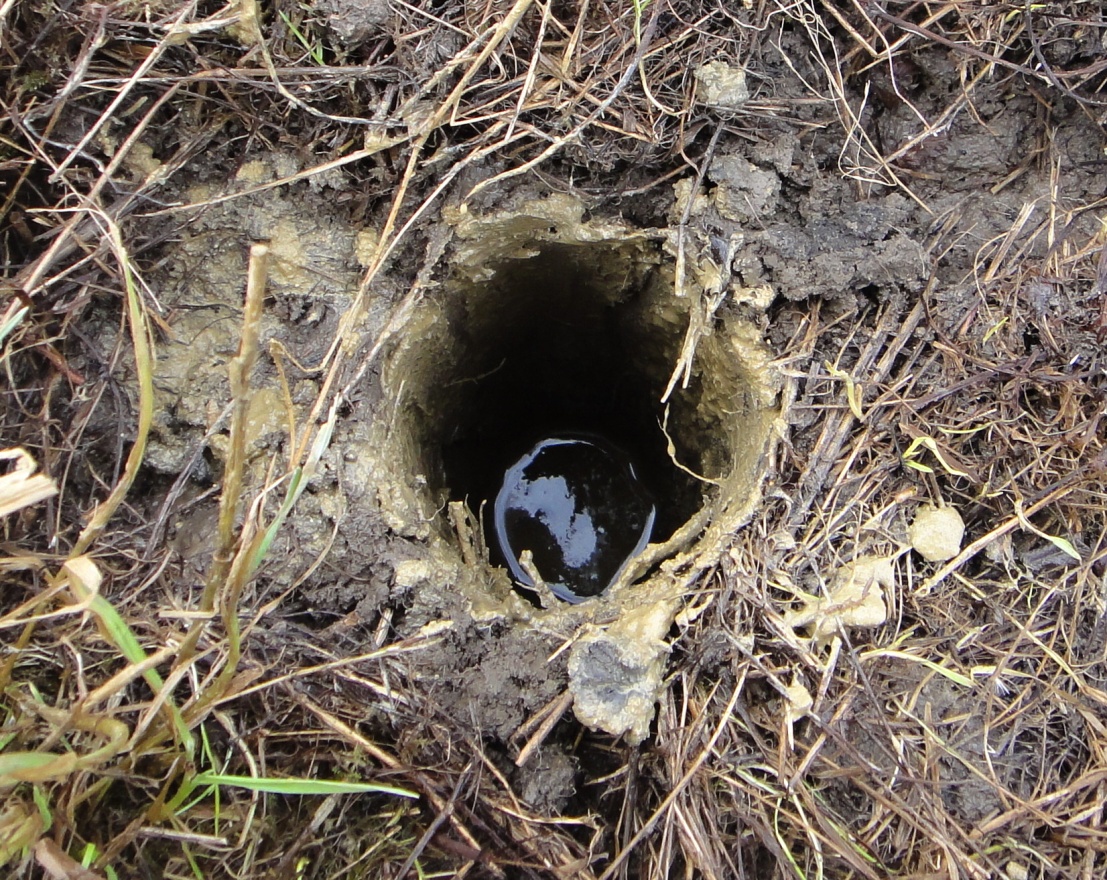 Auger Hole Method Auger Tool Image