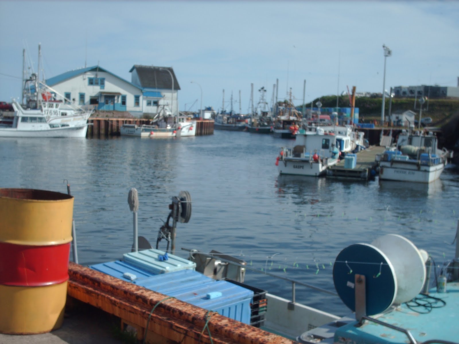 The Next Odyssey What's happening in Ste.Therese de Gaspe?