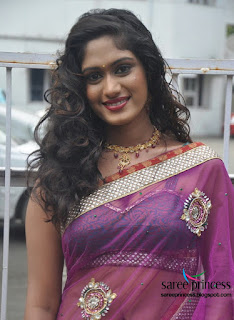 actress lavanya ina super hot transparent sari