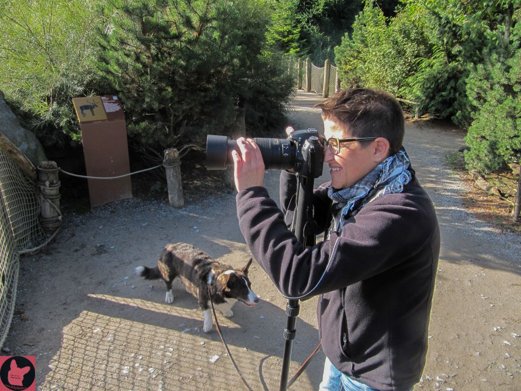 dickydackelblog Zoom Erlebniswelt Gelsenkirchen