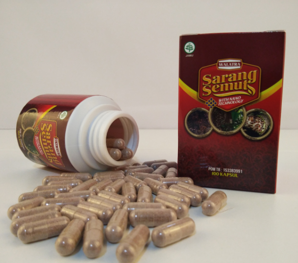 Obat Polip Hidung Kimia Farma