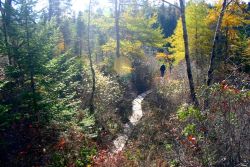 Crowbar Trail, N.S. Crowbar Trail, N.S.