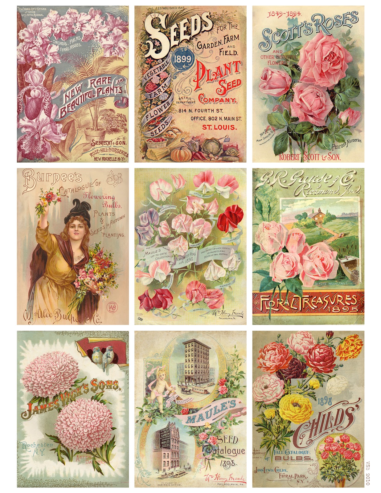 Free Printable Vintage Seed Packets - Printable World Holiday