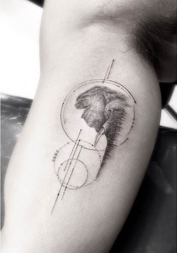 Metade de um elefante retrato é encapsulado dentro de uma série de círculos.