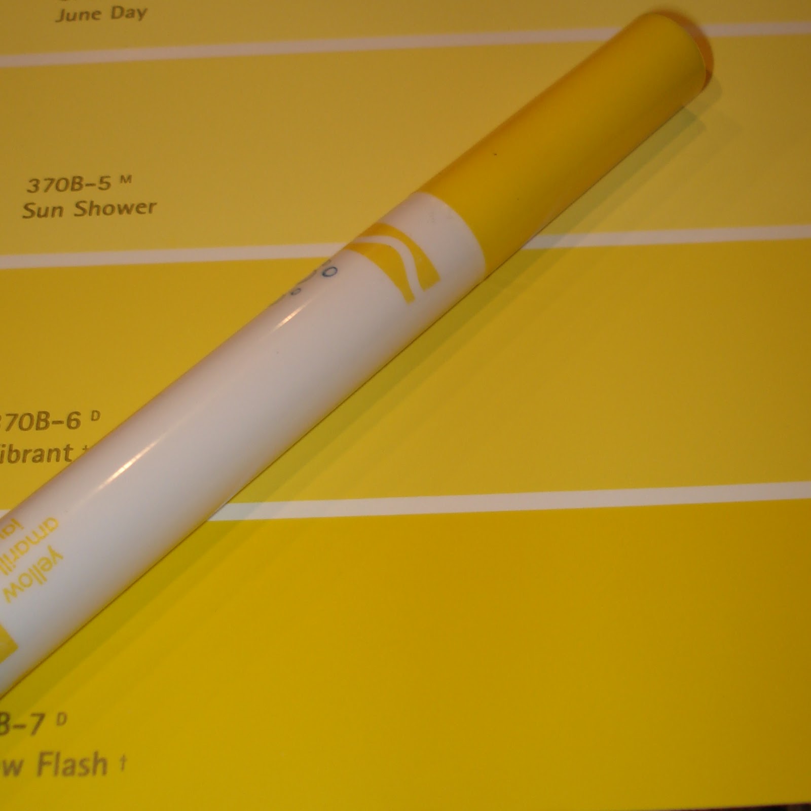 Paint Chip (Color Match) Scavenger Hunt RKO Ideas Galore by Karen