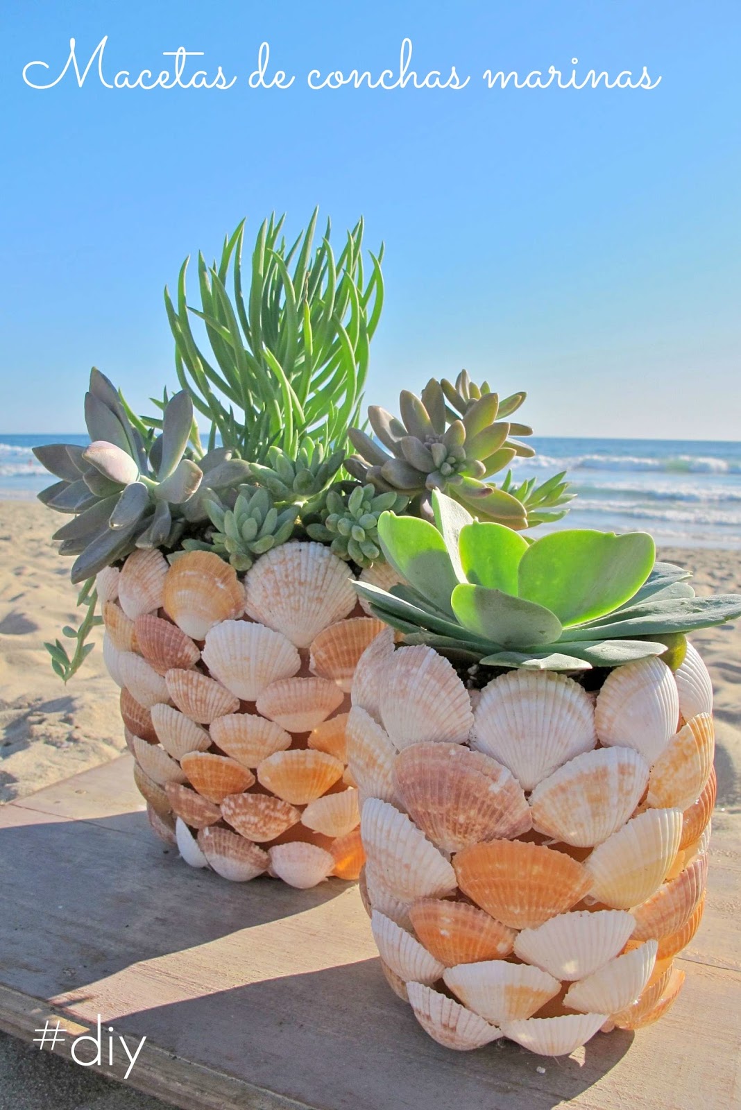 7 IDEAS DE INSPIRACIÓN DIY CON CONCHAS MARINAS: #DiarioDeco23