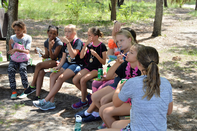 Nature Minute – Skip the Straw » Wekiva Youth Camp
