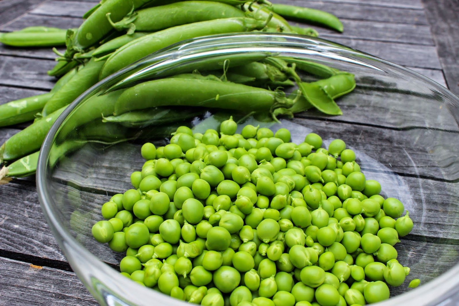 KILIMO SMART: FAHAMU KUHUSU KILIMO BORA CHA NJEGERE