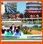 Baltimore Orioles Baseball