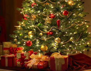 Origen del Árbol de Navidad