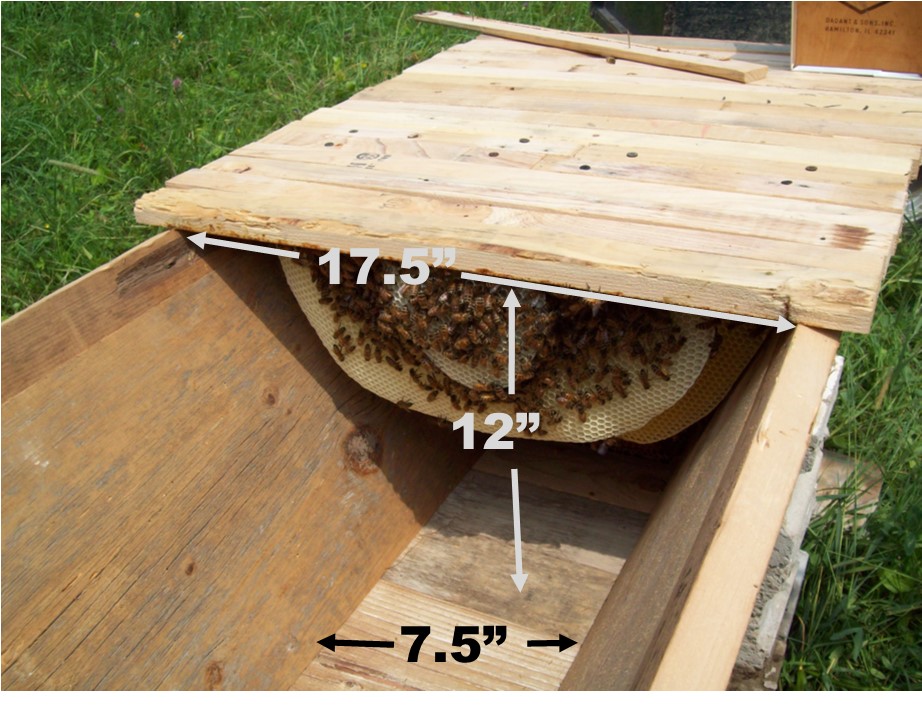 Musings on Beekeeping Musings About Making a Top Bar Hive—the basics