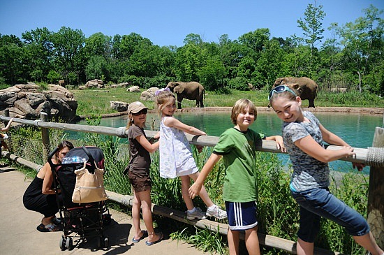 Nashville Zoo at Grassmere. | Vacation Spots In The World