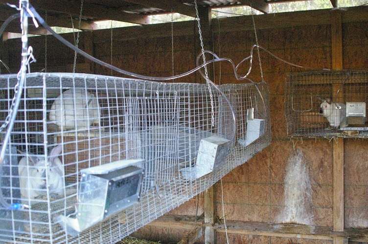 waterer homestead