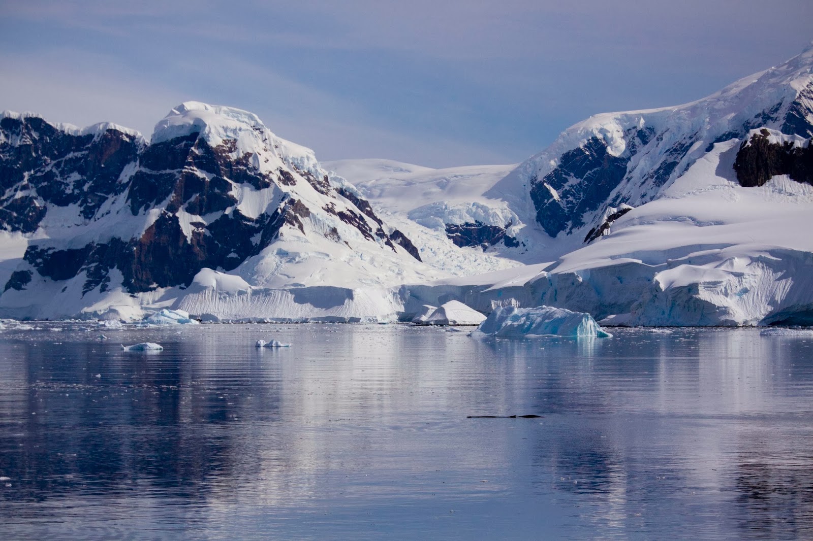 Life at Sea Antarctica Day 2 The Danco Coast