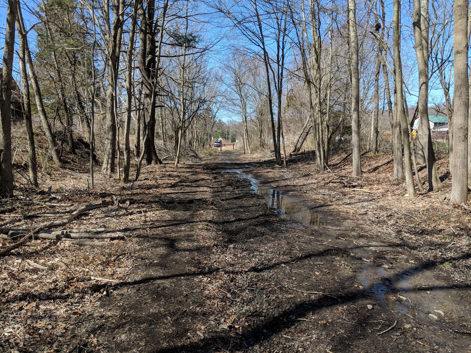 Franklin Matters: Photos from the SNETT trail clean up Saturday Apr 21