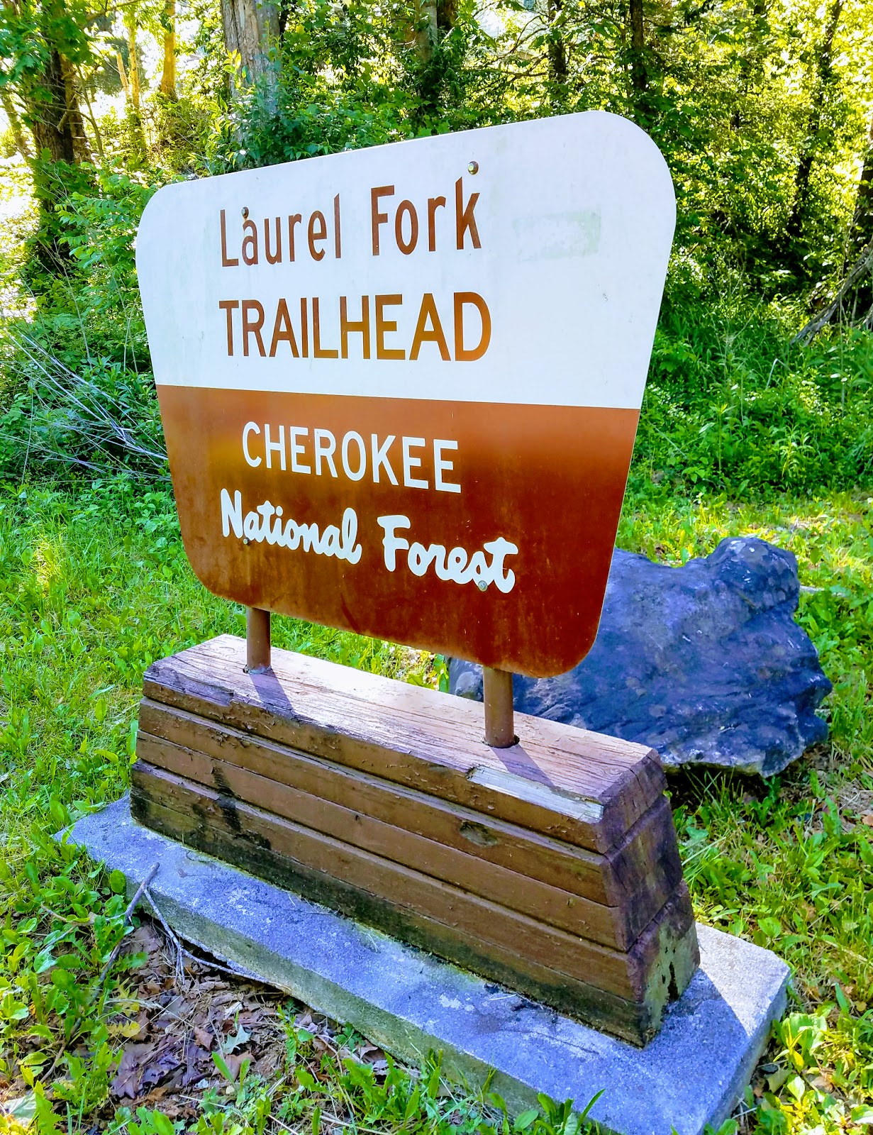 Tales From The Wood Booger Hike To Laurel Fork Falls & Pho...It Was A