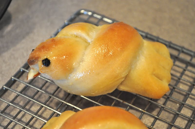 little birdie rolls {tutorial} Little Birdie Secrets