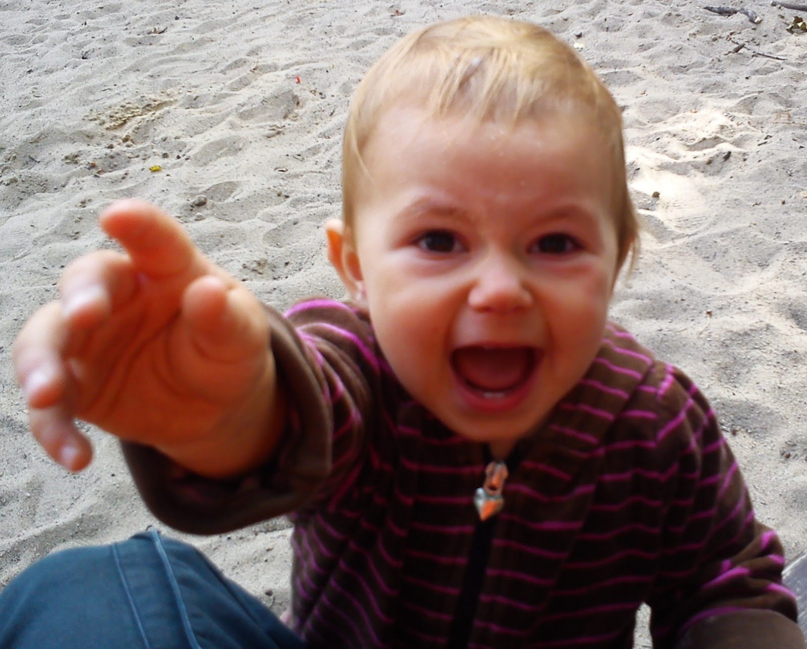 Diário de Uma Criança de 2 Anos