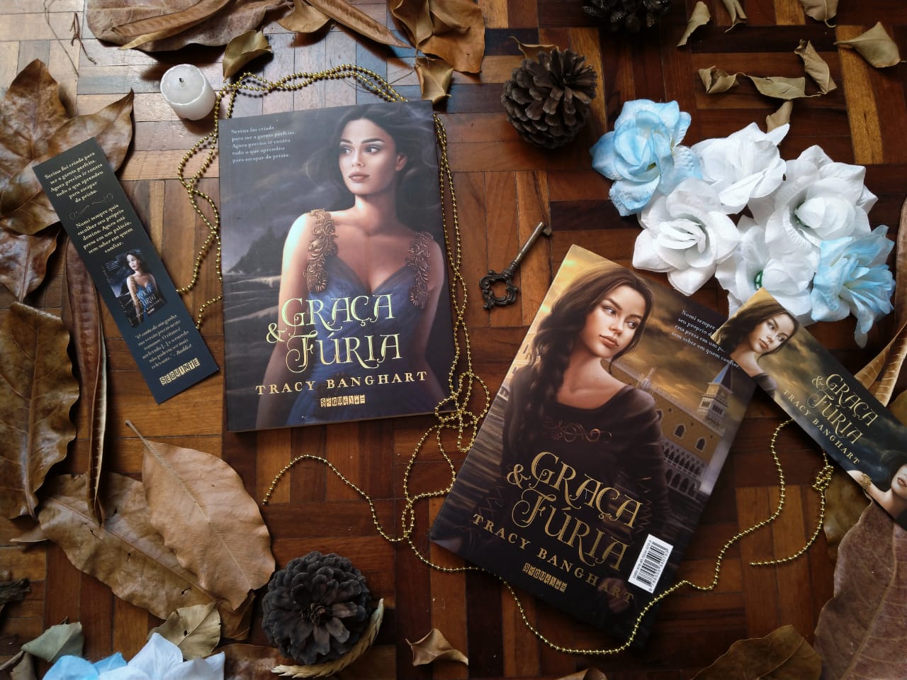 GRAÇA E FÚRIA - TRACY BANGHART (Graça e Fúria #1) RESENHA DE LIVRO: GRAÇA E FÚRIA - TRACY BANGHART (Graça e Fúria #1)