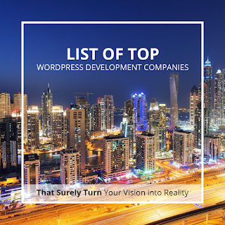 list of top wordpress development companies In Pakistan