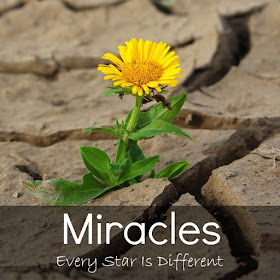 Miracles-Crazy things that happened in order to help a special needs family receive the help they needed.