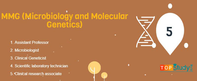 MMG- 5th Best Field Other Than MBBS and BDS
