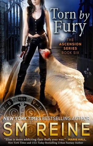 Torn by Fury by S.M. Reine