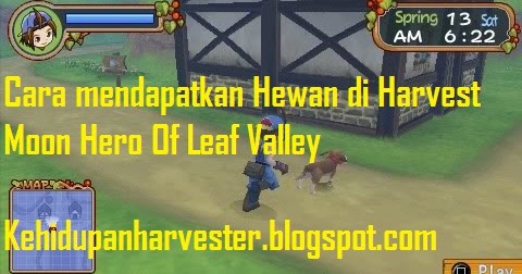 Kehidupan Harvester Cara Mendapatkan Hewan Di Harvest Moon Hero Of Leaf Valley