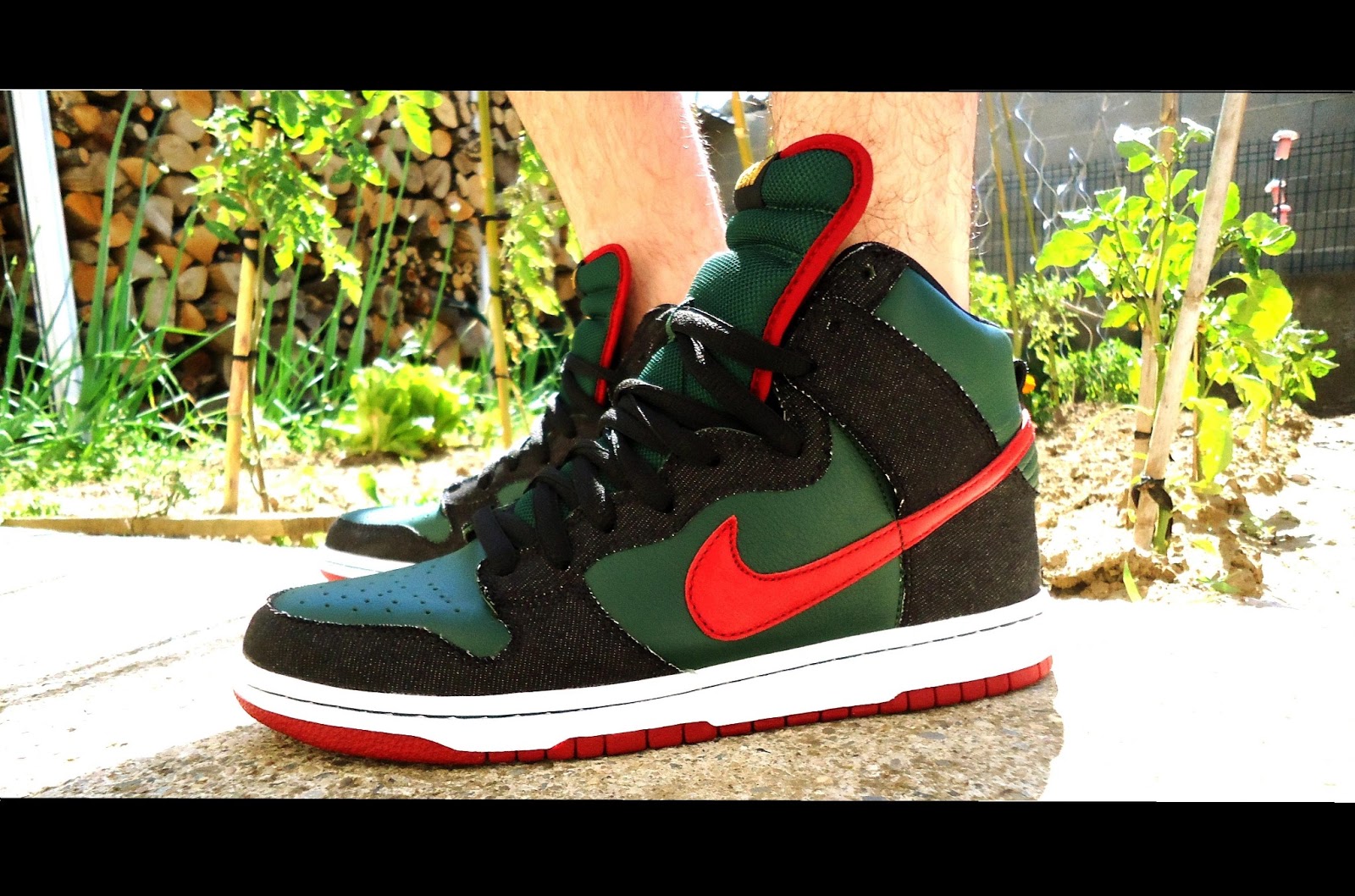dunk gucci