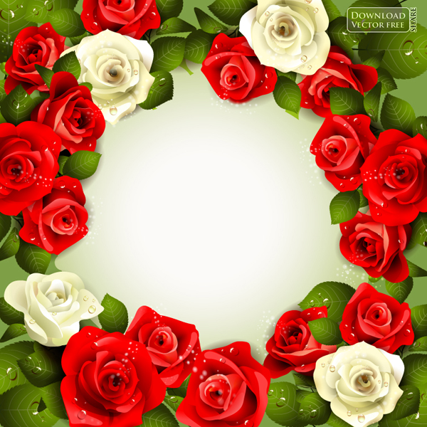 Nền hoa hồng đẹp beautiful rose vector 3080 ~ MrPixelVn - Chia sẻ Đồ họa  vector pixel miễn phí