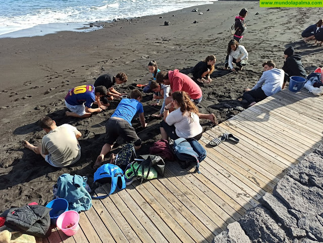 La Reserva de la Biosfera La Palma trabaja con el alumnado la problemática global del plástico, los residuos y la contaminación marina