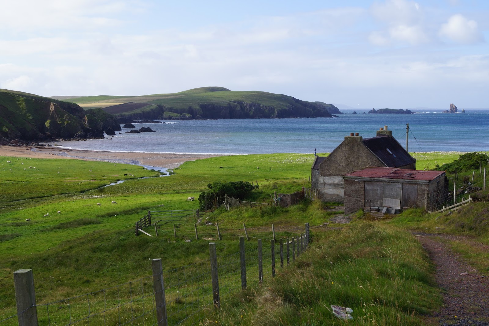 Ann O'Malley ou 365 jours d'une femme au foyer: Chaussettes des Shetland