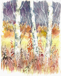watercolour paintings birch trees pencil blockley john coloured autumn prints artist watercolor silver birches ins landscape demo arts approx stuff