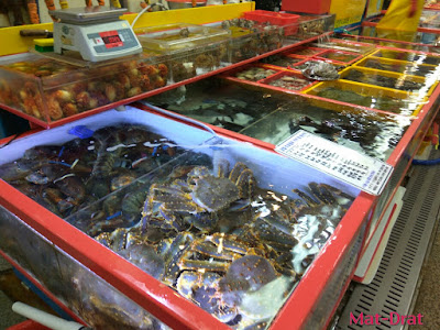 Percutian ke Busan Kores Selatan Tempat Menarik Jagalchi Market