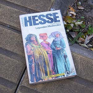 Noches pasadas : Hesse