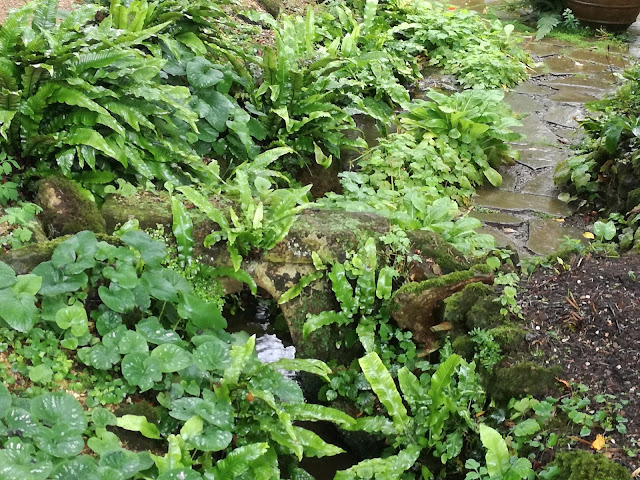 Water Garden, ogród w cieniu